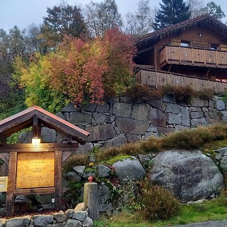 Chalet Typique Vosgien "Les Barbotines" Ventron Exteriör bild