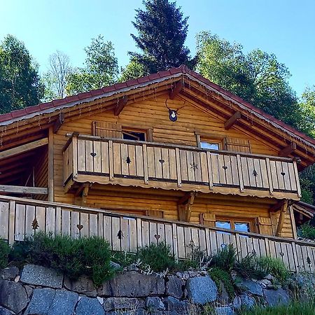 Chalet Typique Vosgien "Les Barbotines" Ventron Exteriör bild